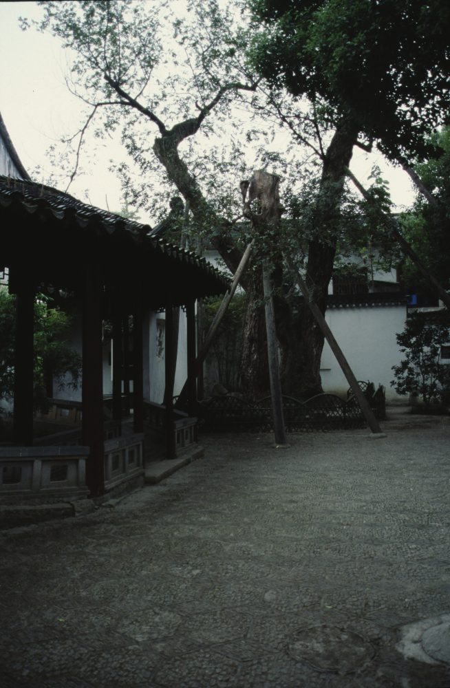 Cover photo for MSDA gallery M10-4