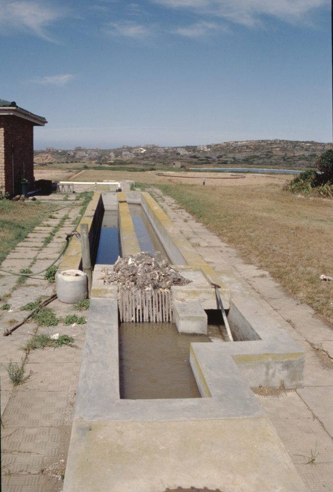 Cover photo for MSDA gallery M19-1