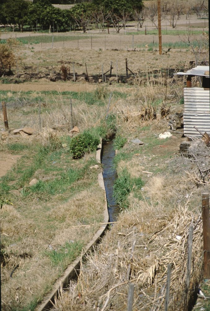 Cover photo for MSDA gallery M20-5